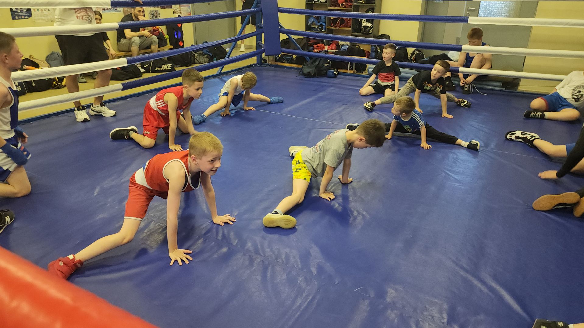 истра, спорт , бокс, тренер,