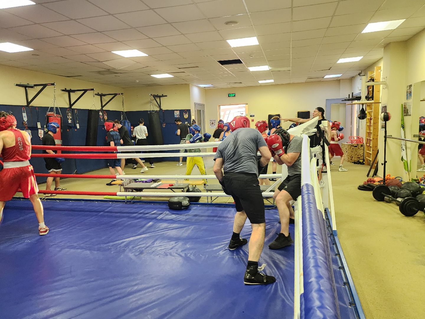 истра, спорт , бокс, тренер,