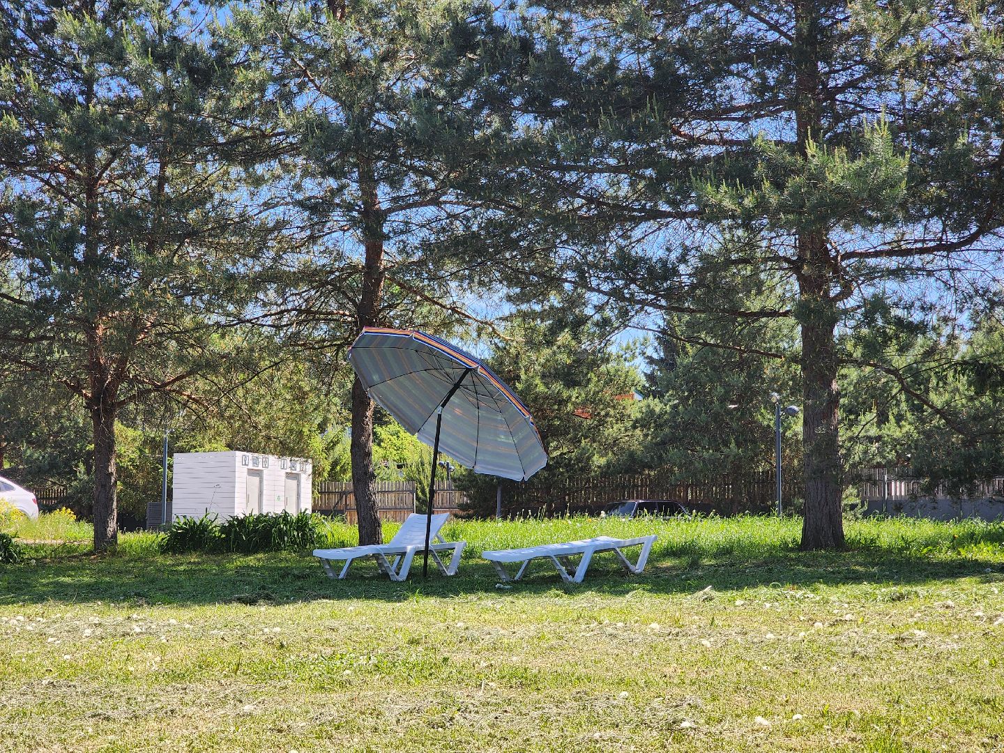 Зарайск, Лето, Пляж, Купальный сезон,