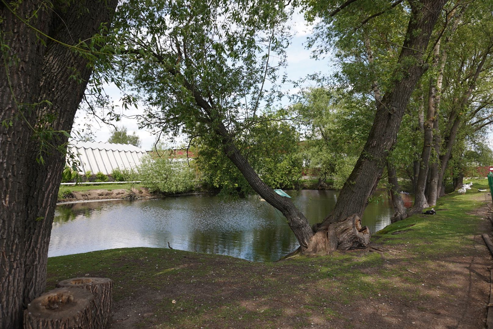 павловский посад, кантри парк, туризм,