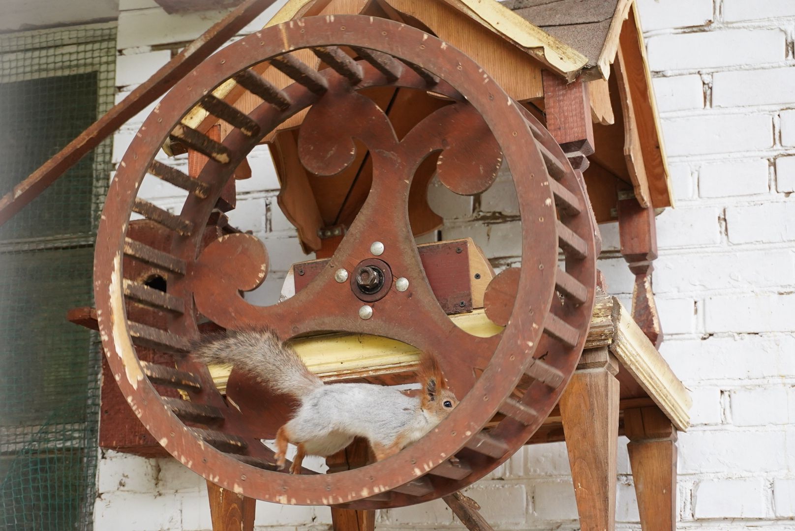 павловский посад, кантри парк, туризм,