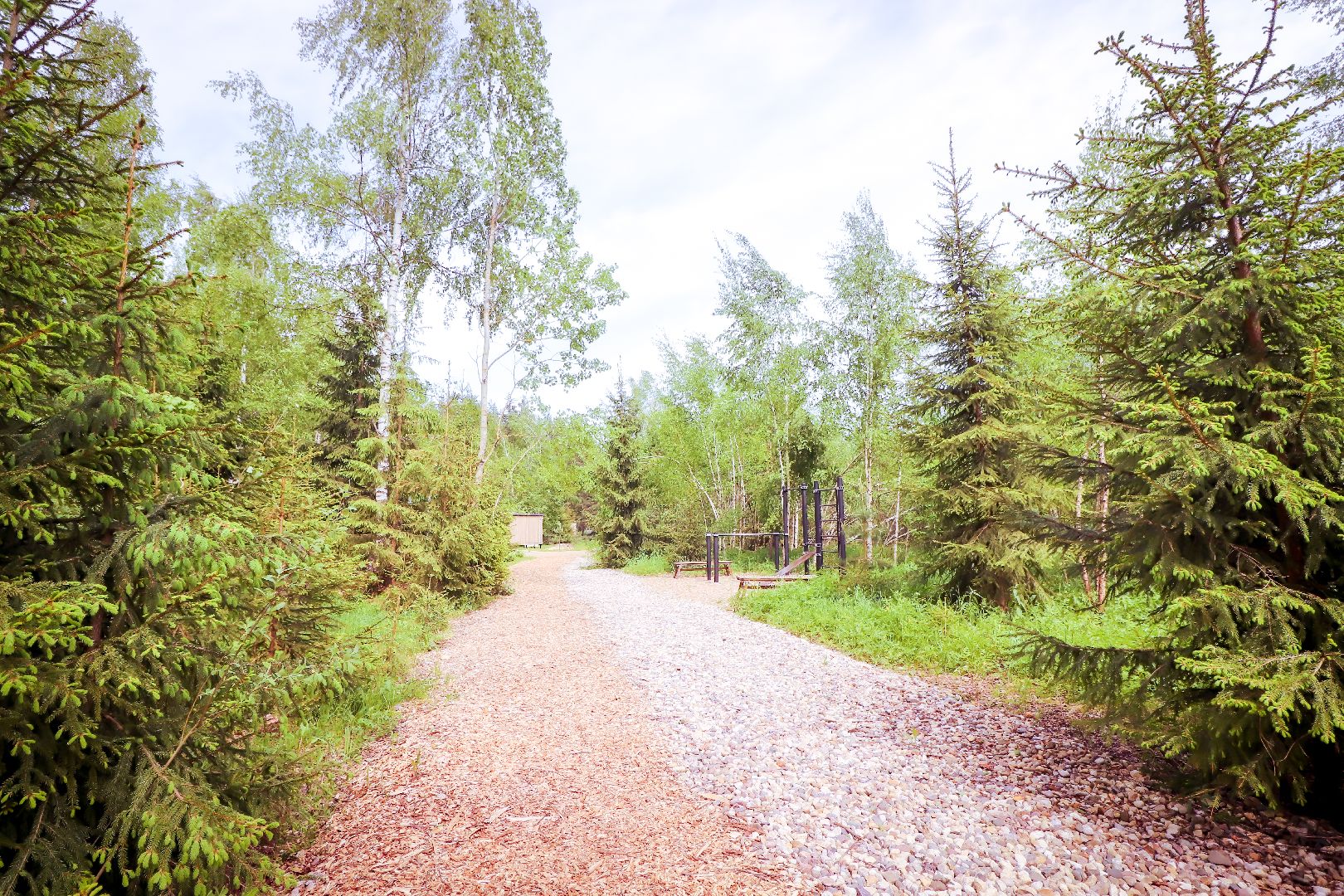 клин, общество, туризм, лето в подмосковье, отдых,