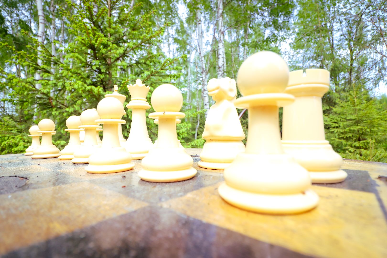 клин, общество, туризм, лето в подмосковье, отдых,