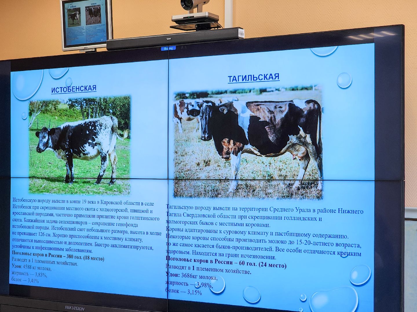 Подольск, Федеральный исследовательский центр животноводства, Уникальные породы, коровы, Школьные пятницы,