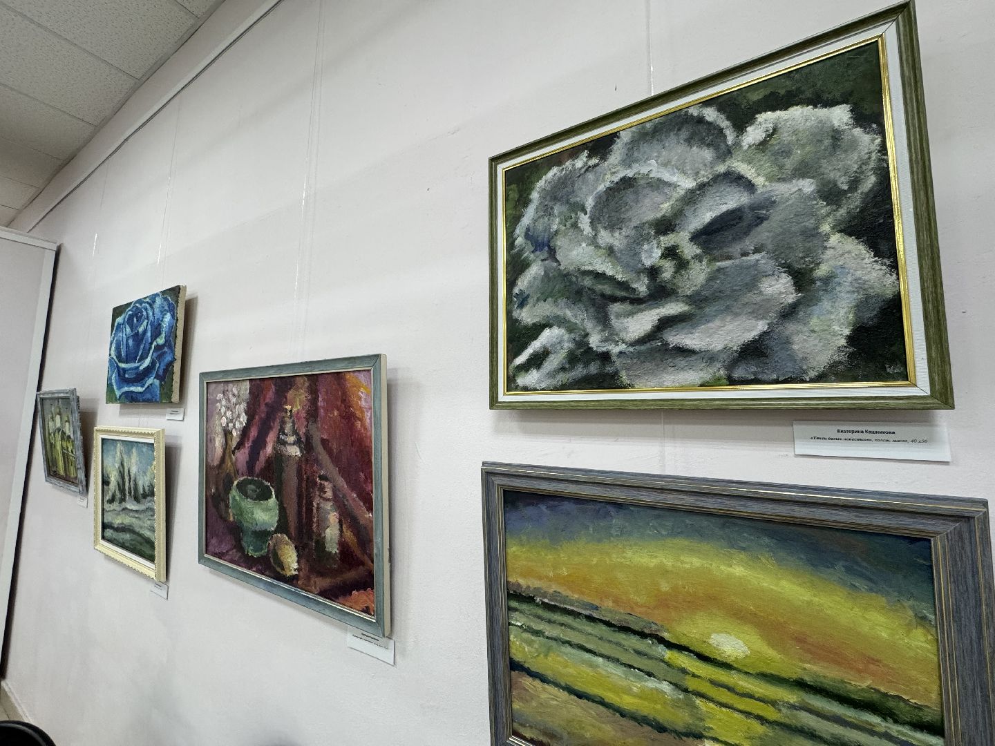 Екатерина Кашникова, Балашиха, творчество, живопись, музей картинка Железнодорожный,