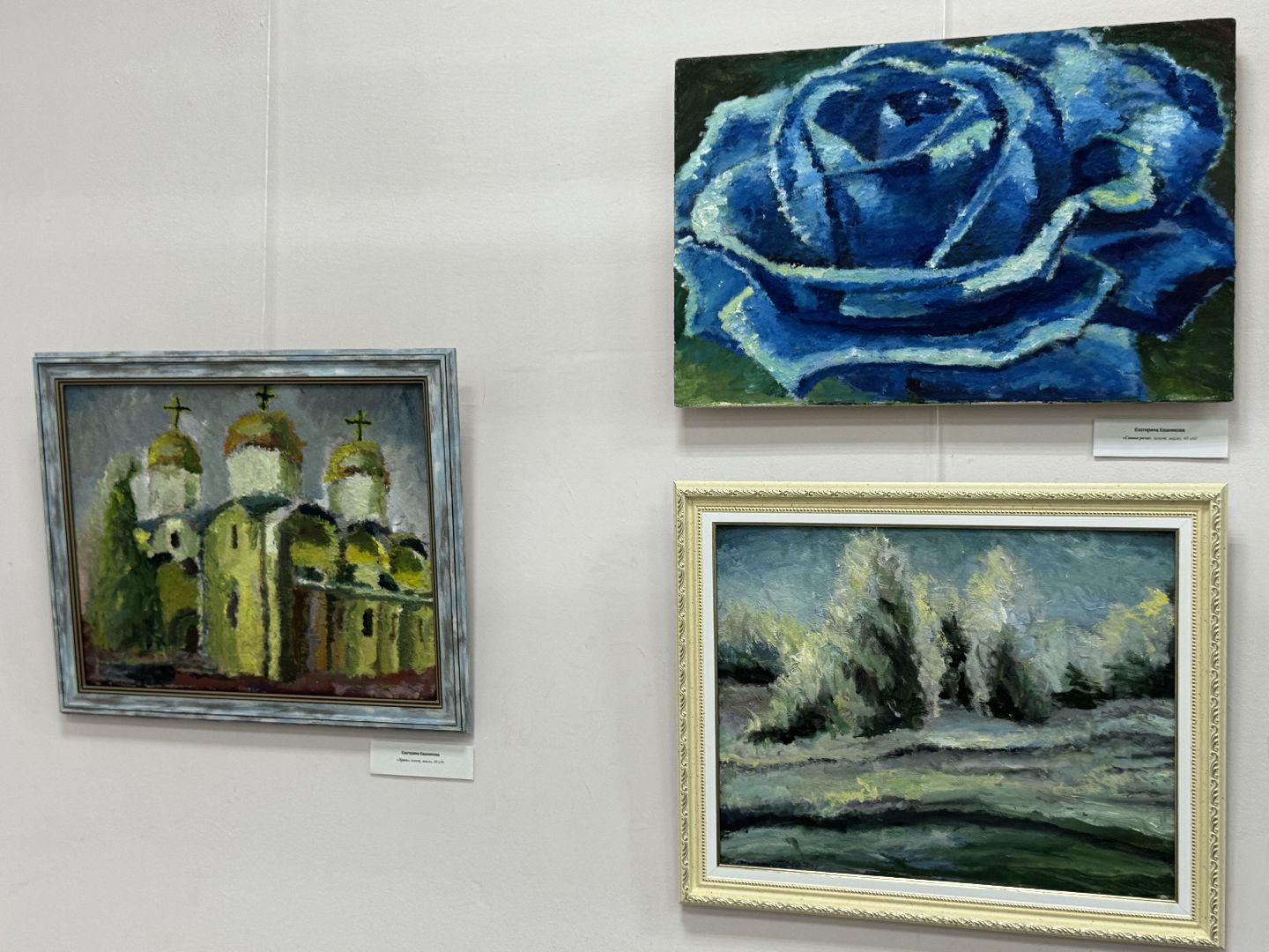 Екатерина Кашникова, Балашиха, творчество, живопись, музей картинка Железнодорожный,