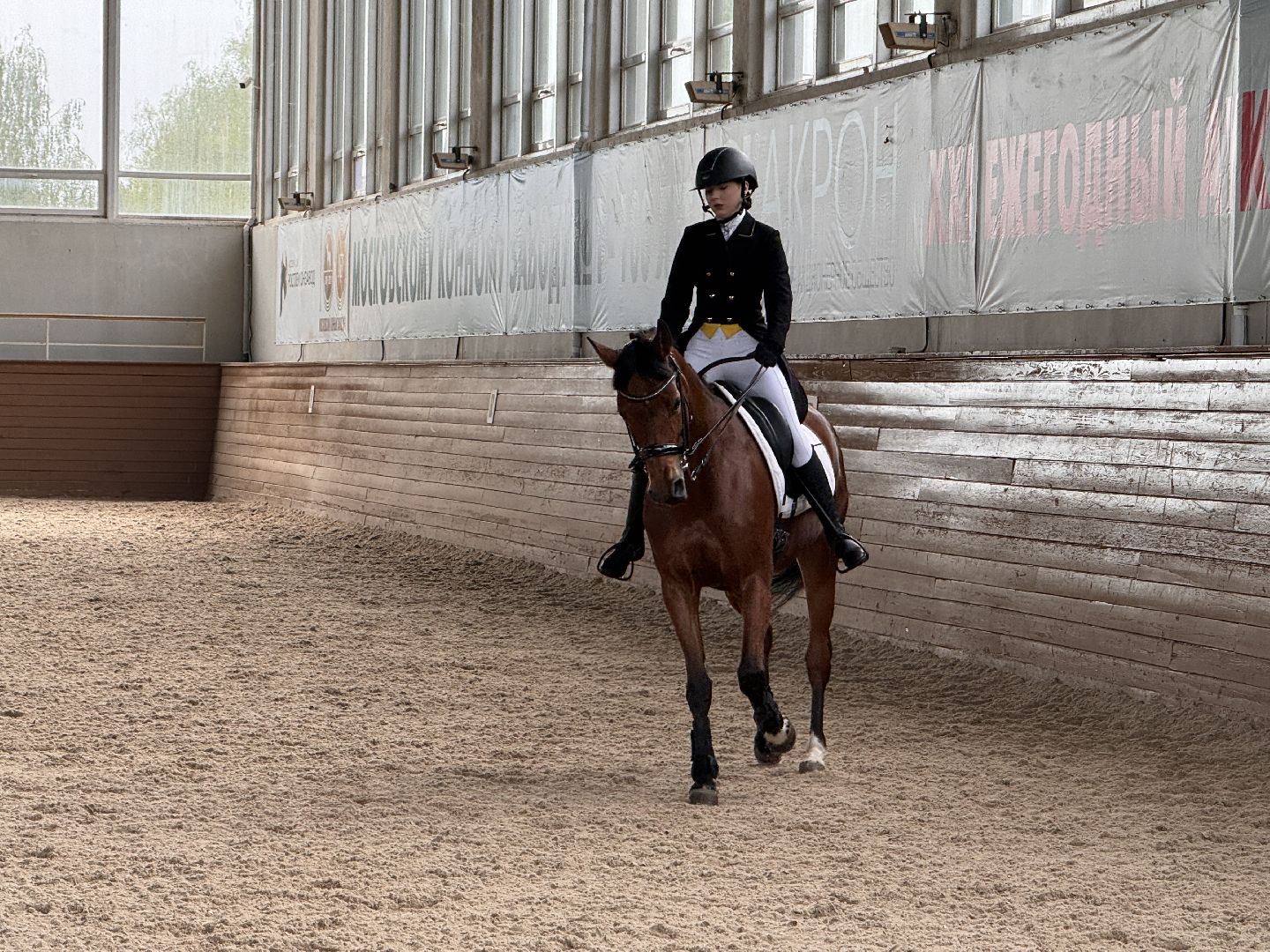 Турнир памяти, Турнир по выездке, московский конный завод 1,