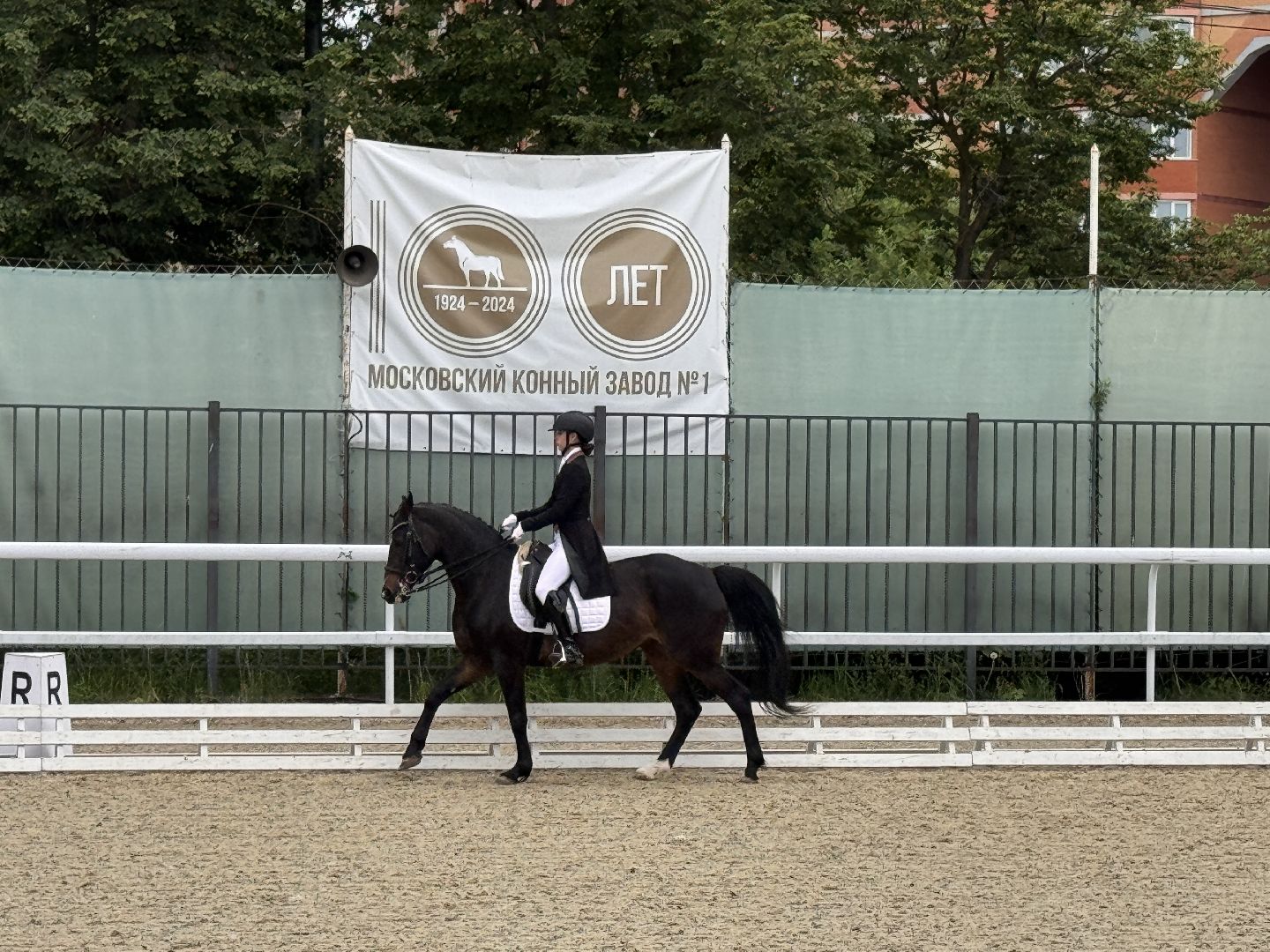 Турнир памяти, Турнир по выездке, московский конный завод 1,