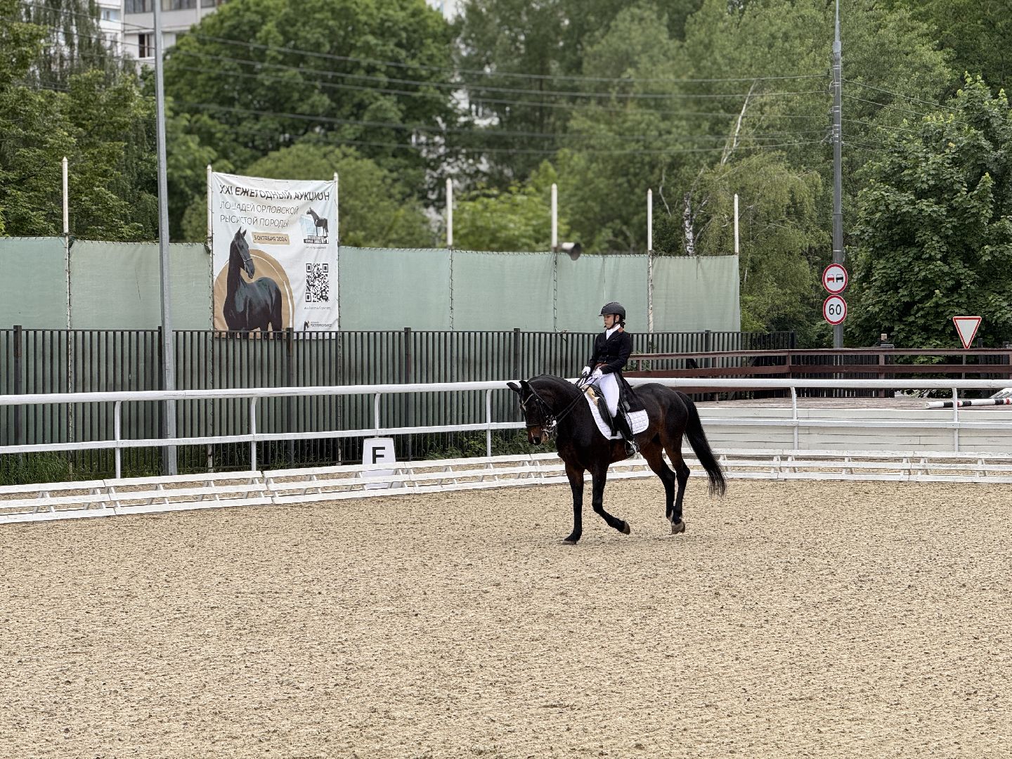 Турнир памяти, Турнир по выездке, московский конный завод 1,