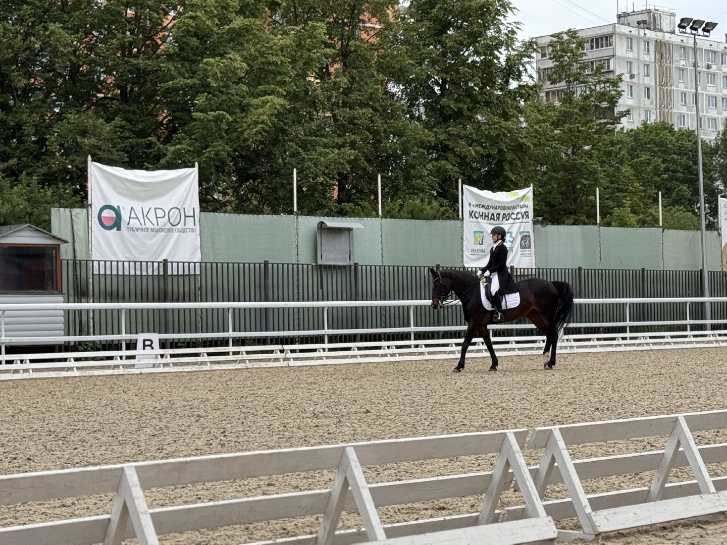 Турнир памяти, Турнир по выездке, московский конный завод 1,