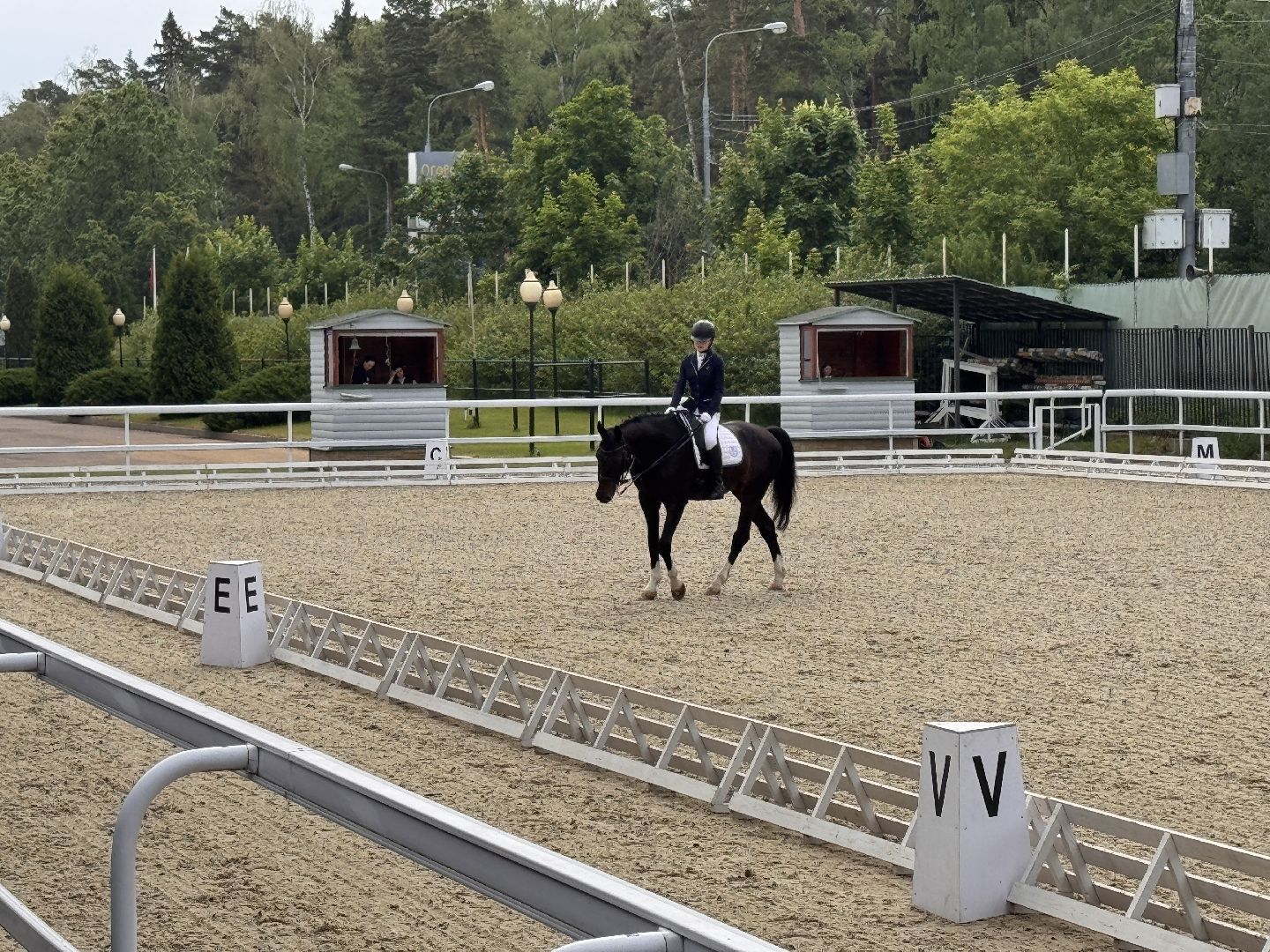 Турнир памяти, Турнир по выездке, московский конный завод 1,