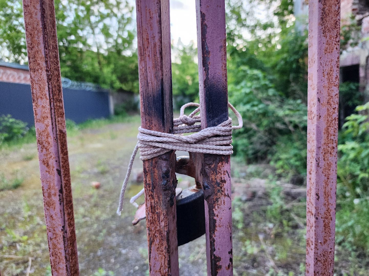 выездная администрация, обращение жителей, исторический облик города, старая купавна, богородский городской округ,