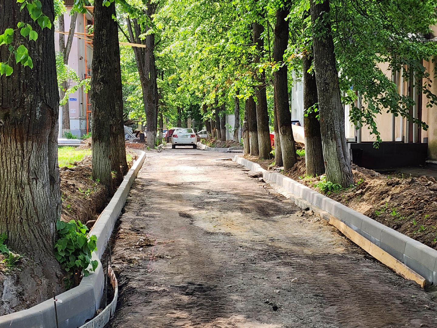 чехов,  улица пионерская 2, чеховская больница, взрослая поликлиника, текущий ремонт,  благоустройство территории, дорожный ремонт, пешеходные дорожки, тротуары, ремонт проездов и проходов, фасадные работы, демонтажные работы, ремонт потолка,