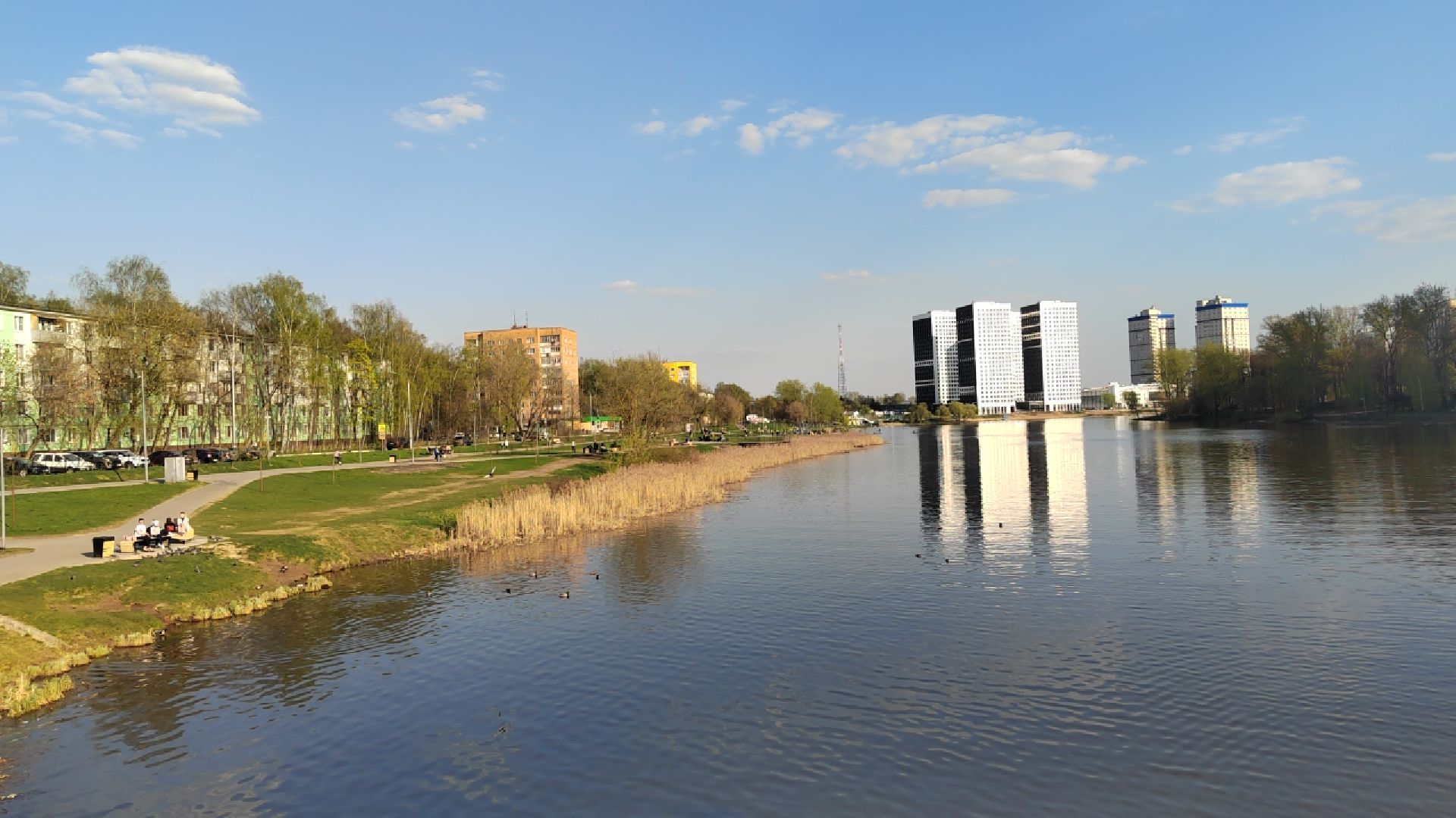 Пушкино, спорт, благотворительность, помощь, плавание, зимнее плавание,