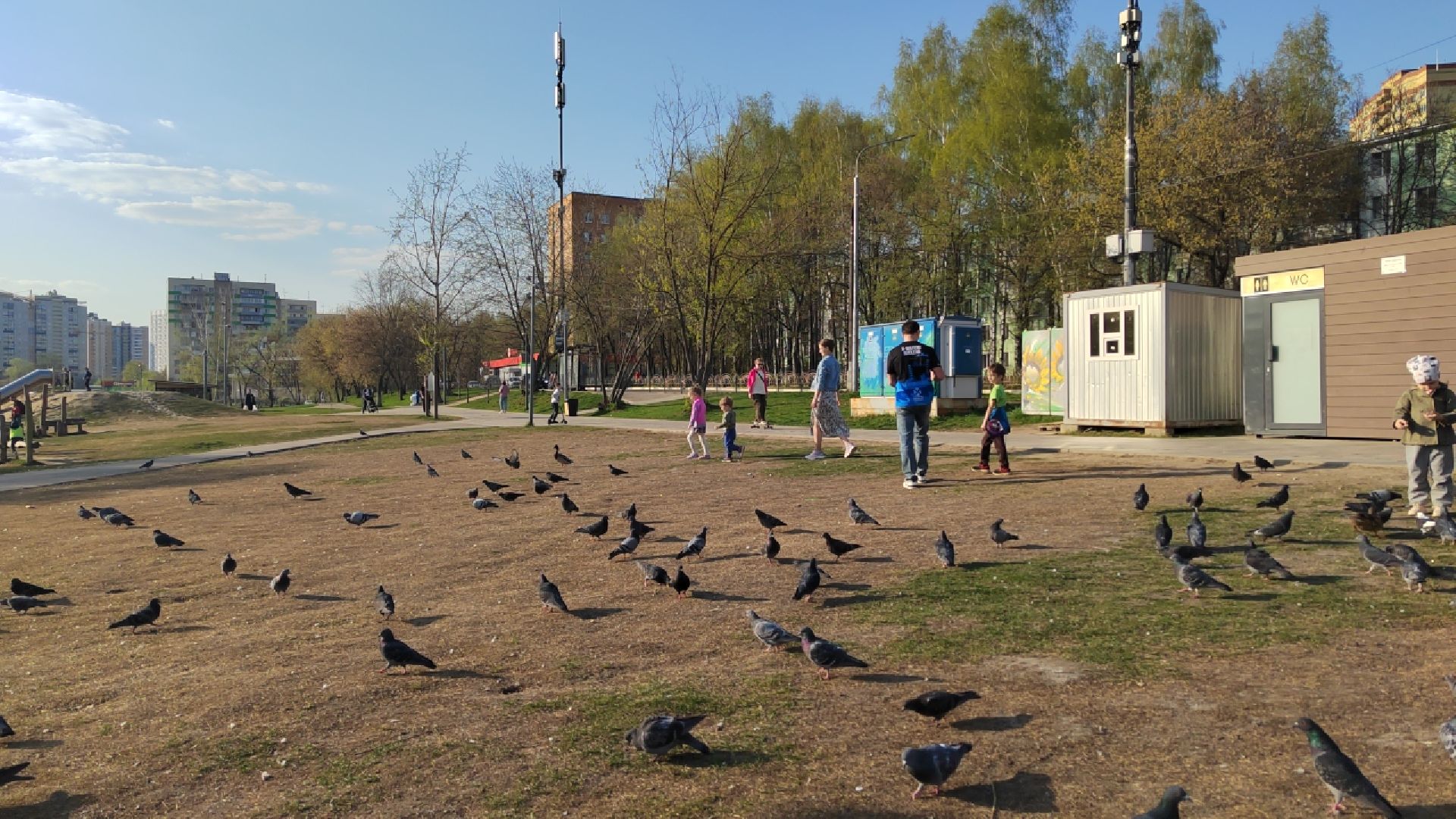 Пушкино, спорт, благотворительность, помощь, плавание, зимнее плавание,