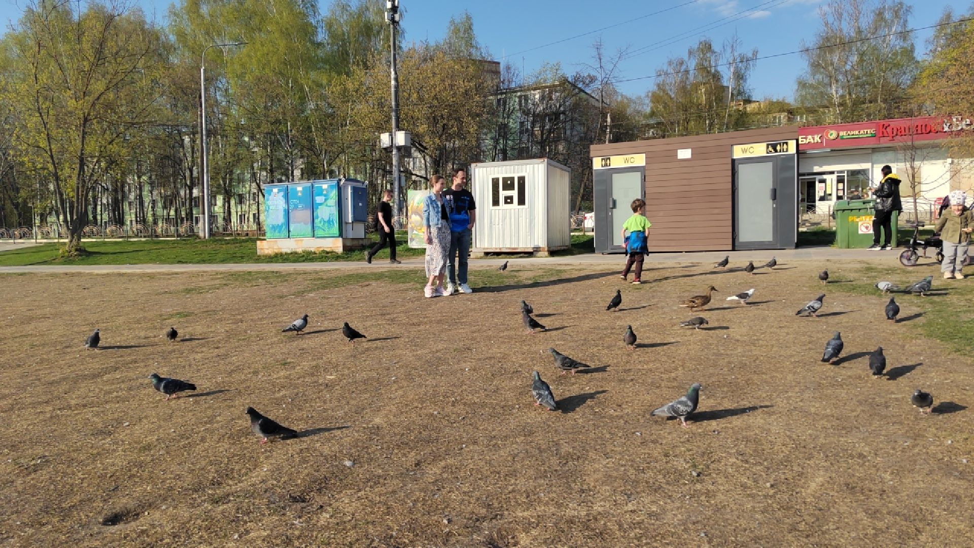 Пушкино, спорт, благотворительность, помощь, плавание, зимнее плавание,