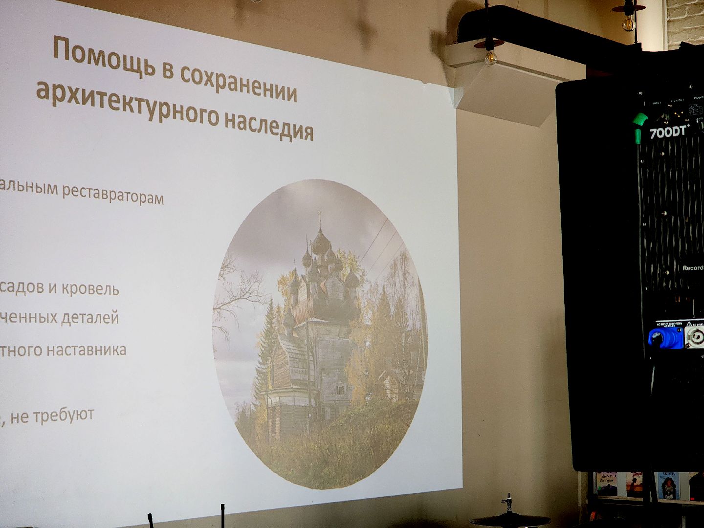 дубна, блохинка, лекция, волонтеры, том сойер фест,