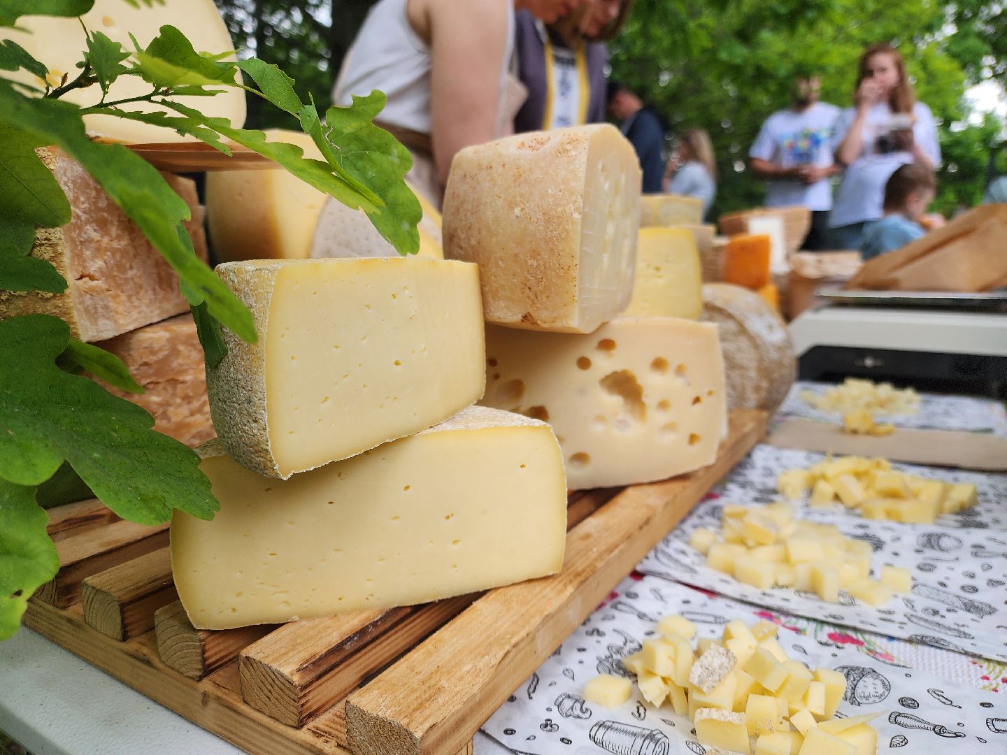 ногинск, жители, общество,  музыка, фестиваль, творчество,