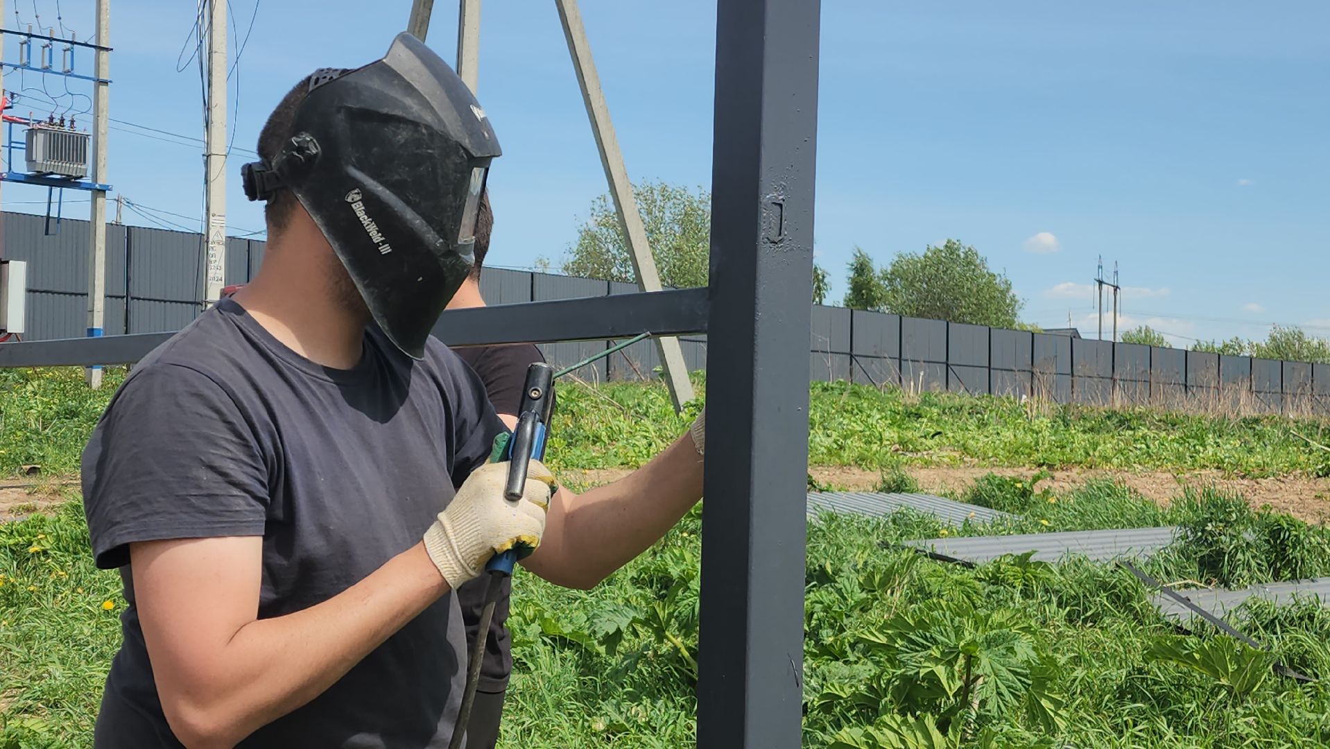 красноармейск, городской округ пушкинский, агропромышленный комплекс, правильное питание, экономика,