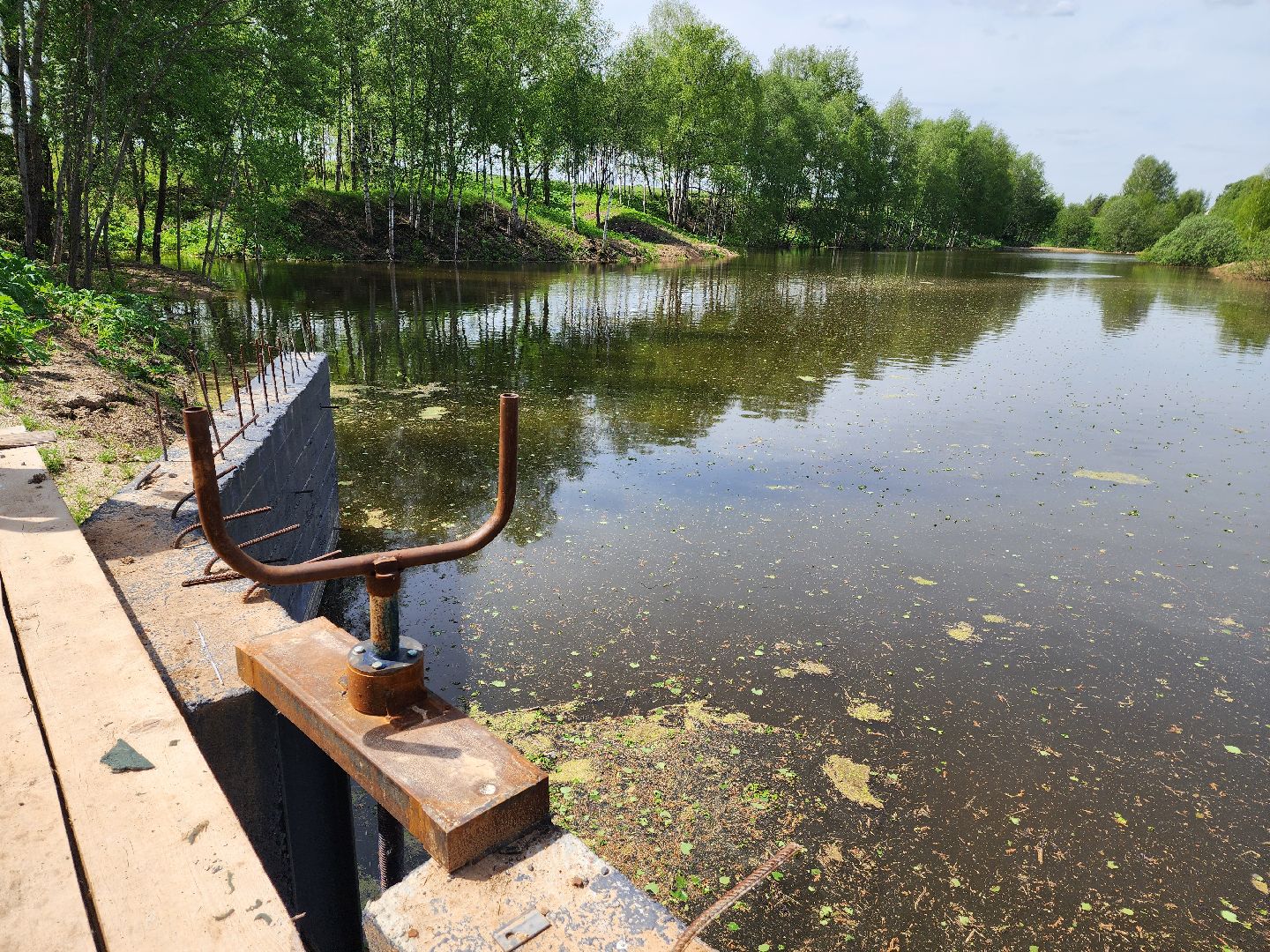 красноармейск, городской округ пушкинский, агропромышленный комплекс, правильное питание, экономика,