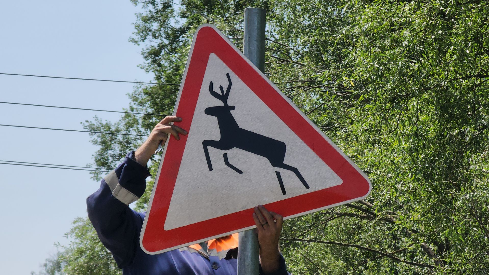 Руза, Руад, дорожная безопасность,