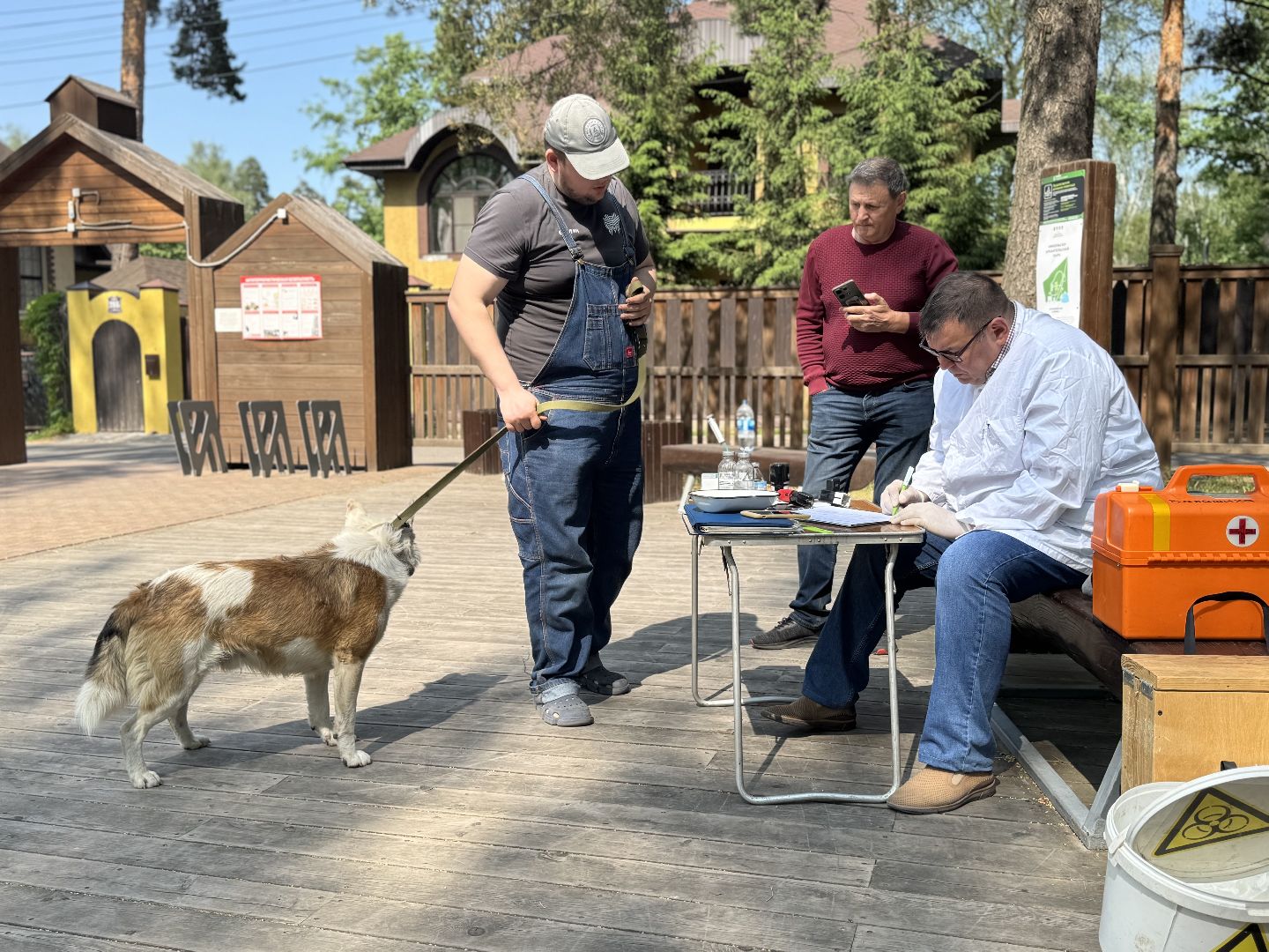 вакцинация от бешенства, балашиха, парк никольско-архангельский,