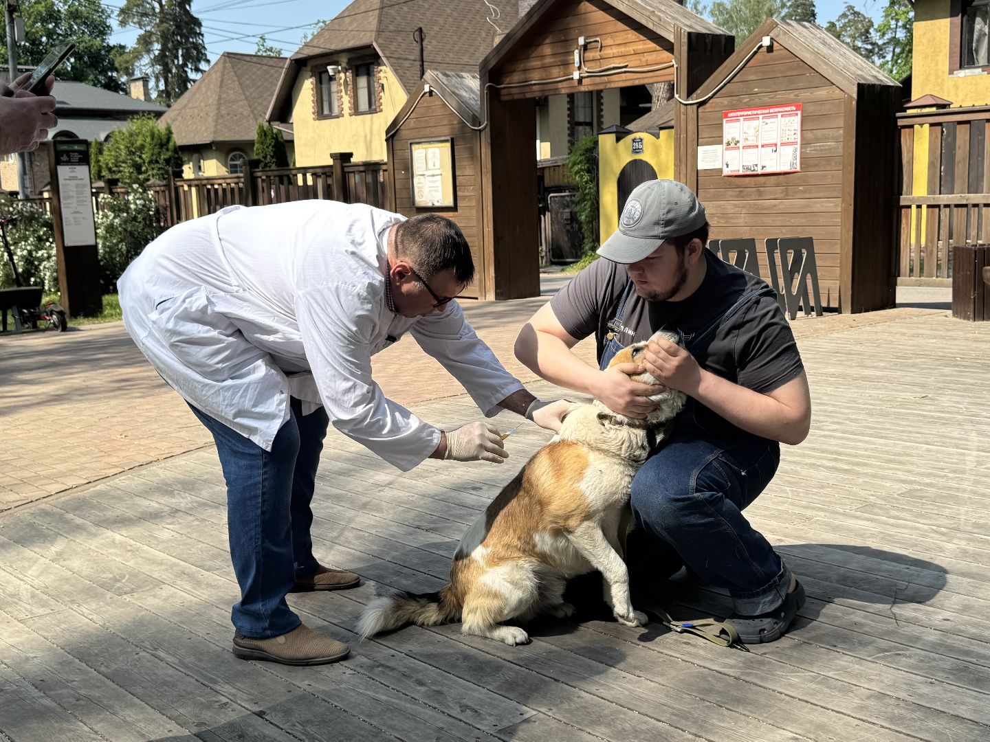 вакцинация от бешенства, балашиха, парк никольско-архангельский,