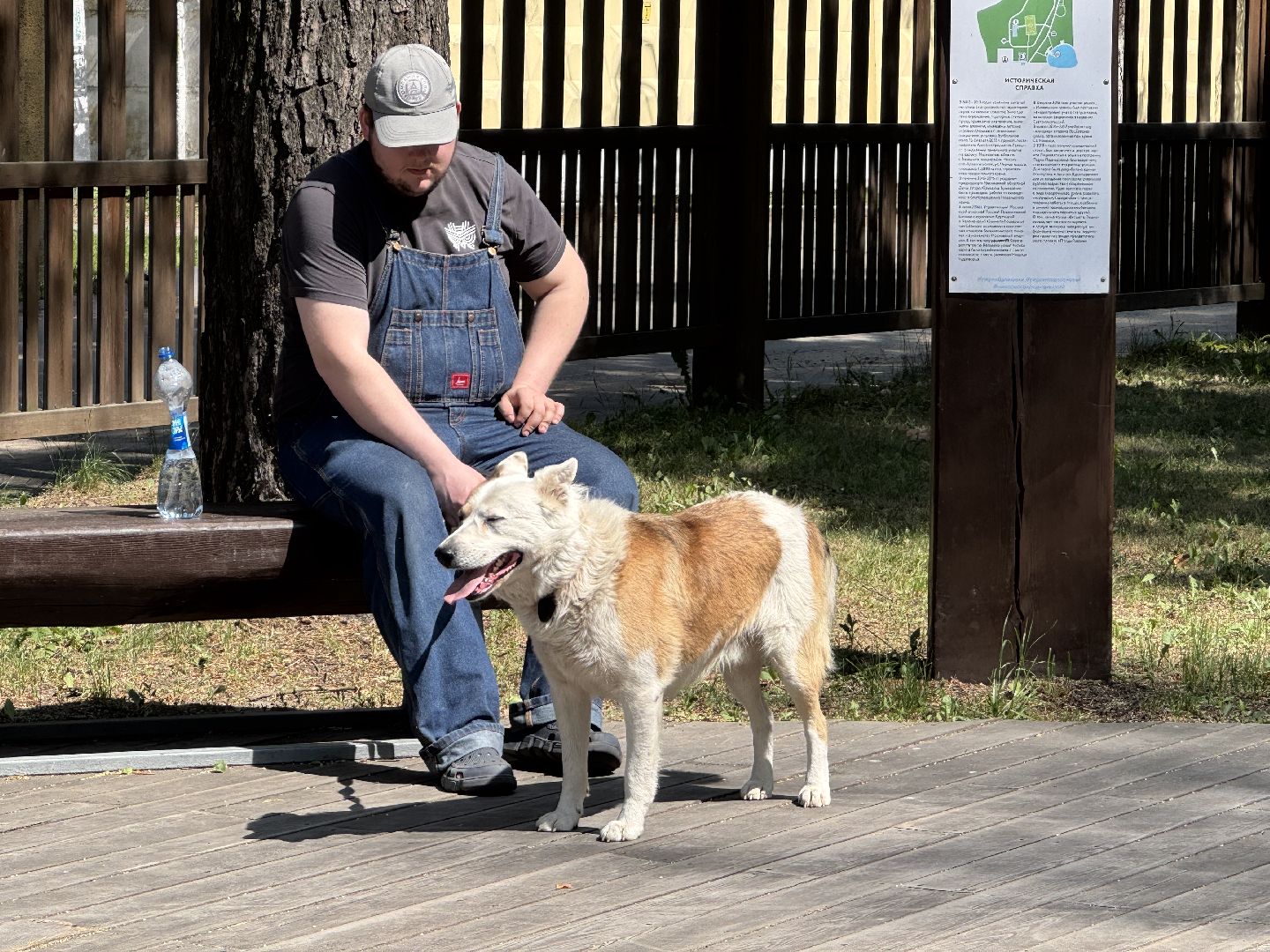 вакцинация от бешенства, балашиха, парк никольско-архангельский,
