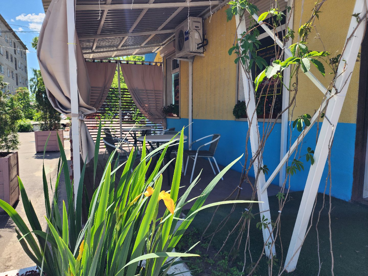 лето 2025, шатура, летние веранды, кафе,