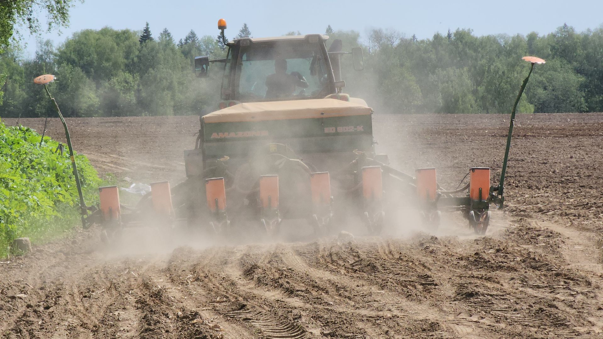 Посевная кампания, рузское молоко, Руза, Агрохолдинг,