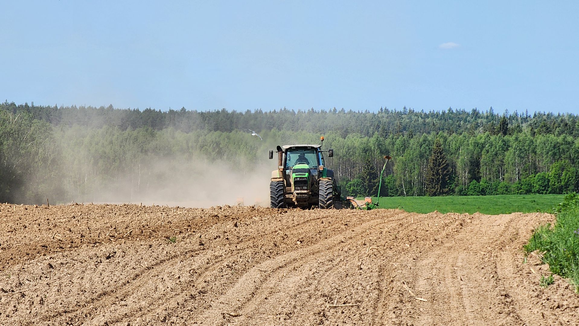 Посевная кампания, рузское молоко, Руза, Агрохолдинг,
