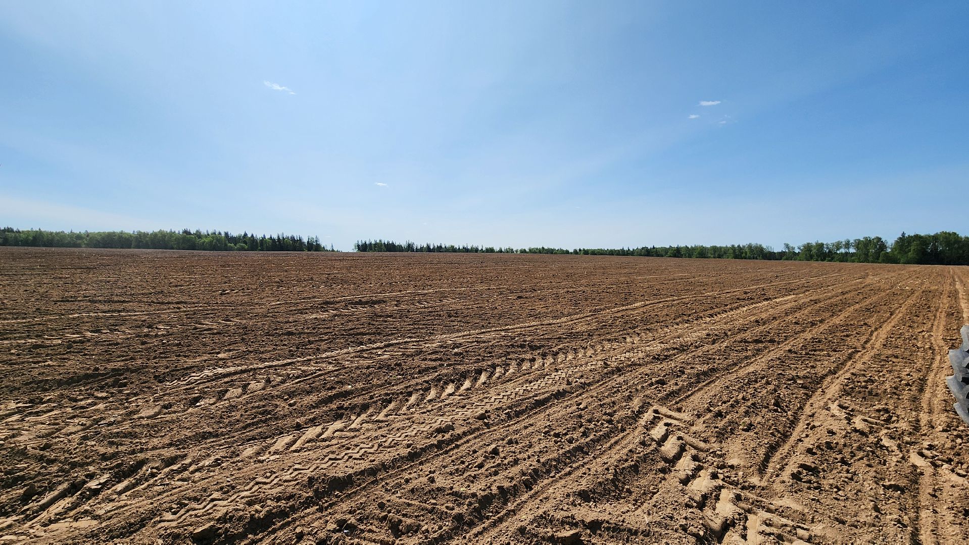 Посевная кампания, рузское молоко, Руза, Агрохолдинг,