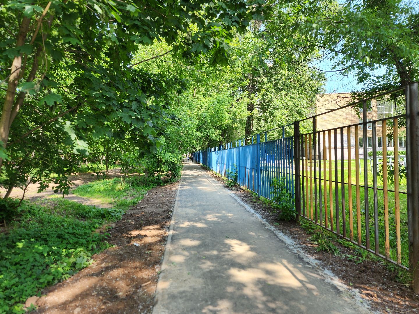 королёв, благоустройство, народные тропы, губернатор московской области,