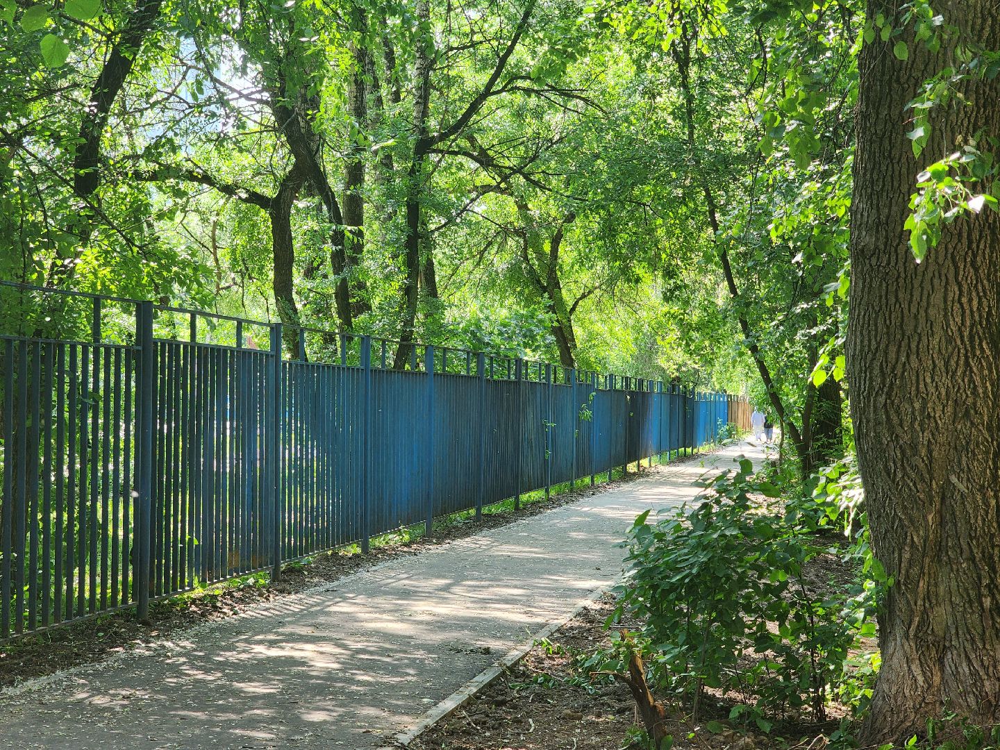 королёв, благоустройство, народные тропы, губернатор московской области,