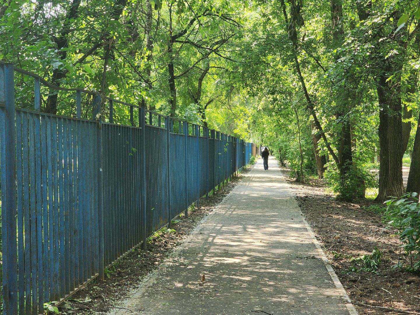 королёв, благоустройство, народные тропы, губернатор московской области,