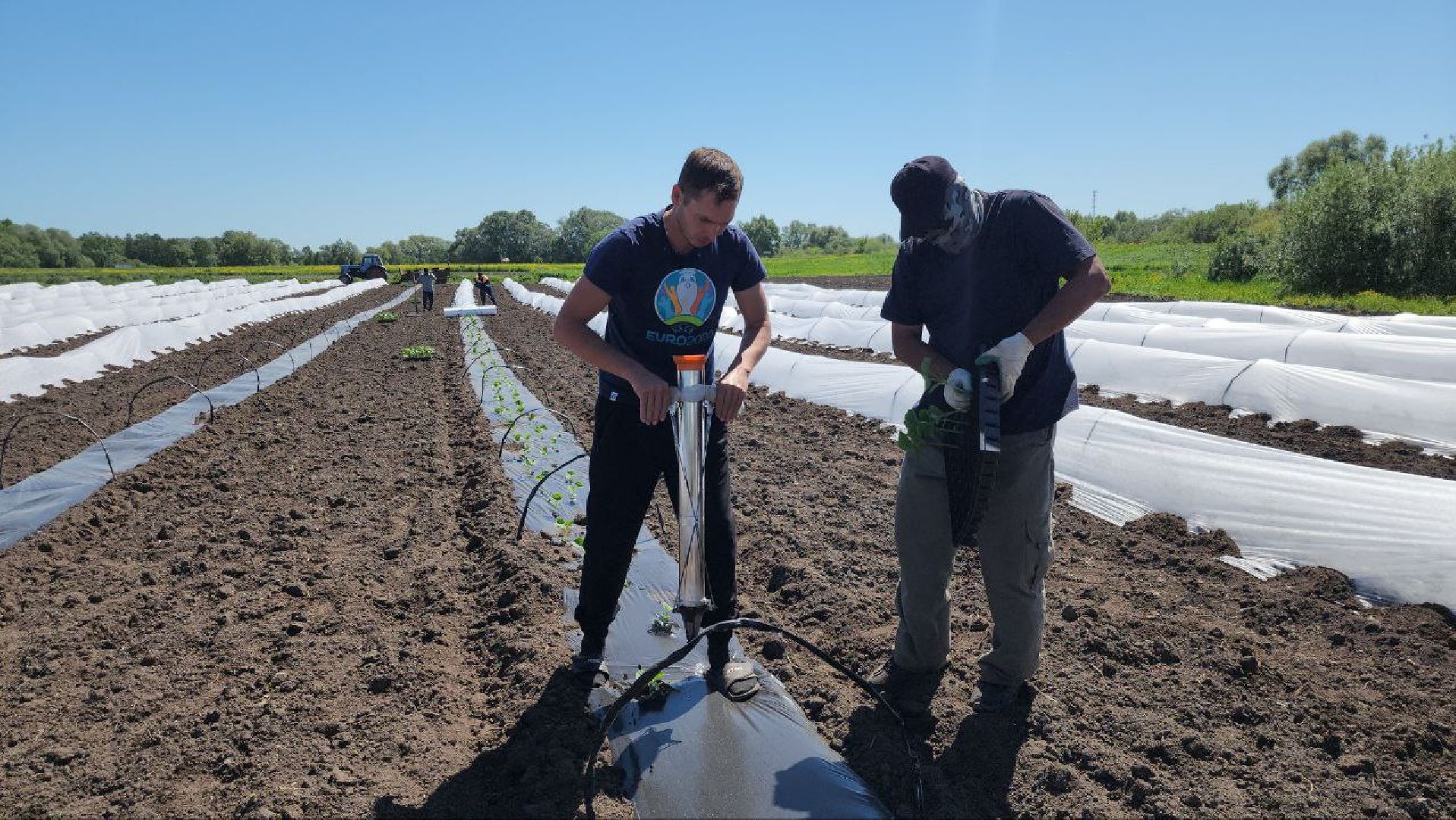 Агрогрант #Господдержка #РазвитиеСельскогоХозяйства , Луховицы,