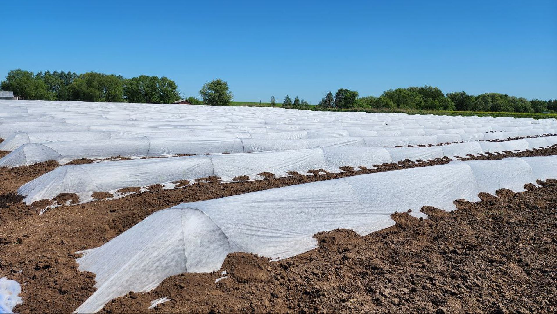 Агрогрант #Господдержка #РазвитиеСельскогоХозяйства , Луховицы,