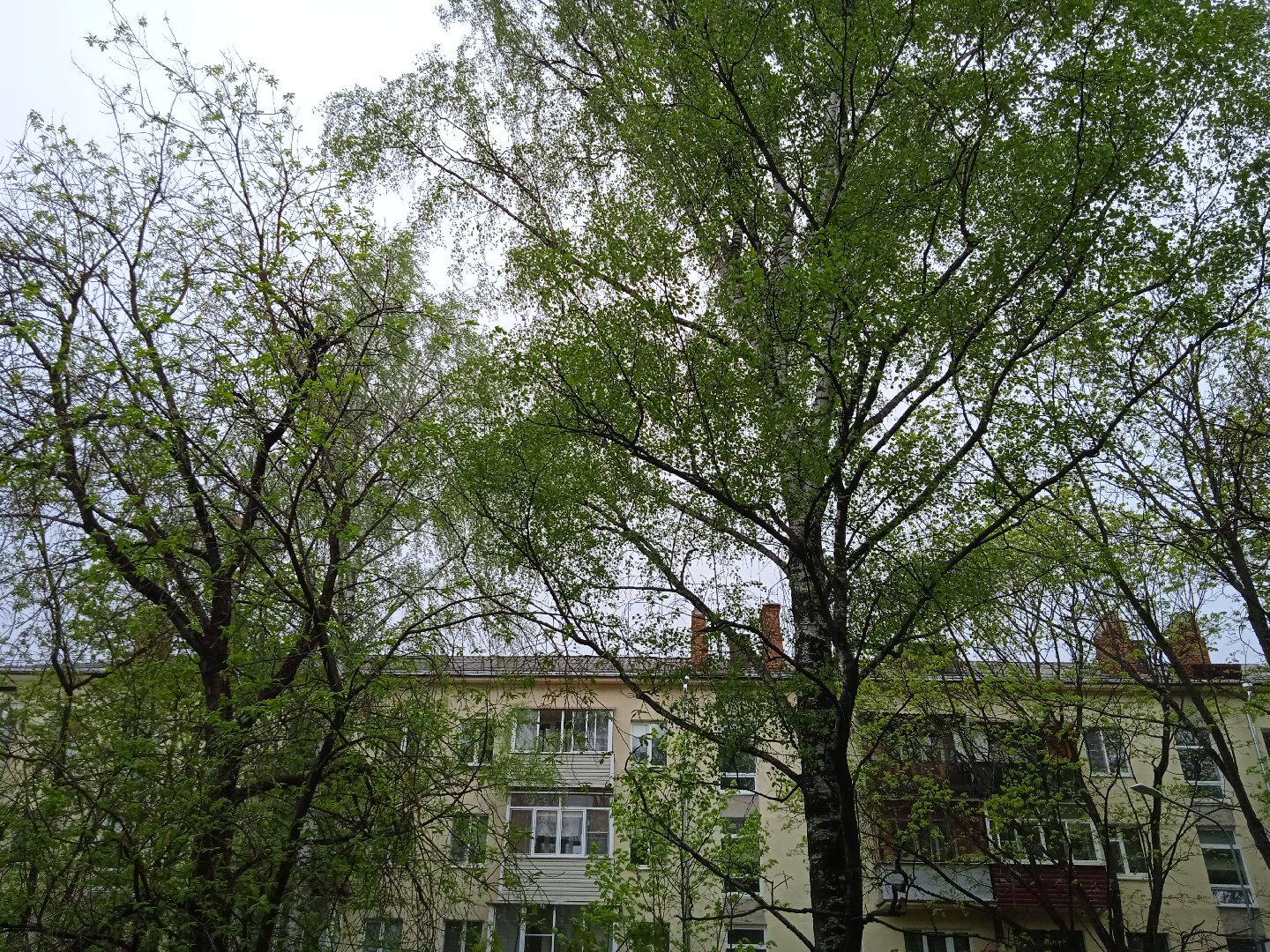 отопительный, сезон, возобновлён, похолодание, Жуковский