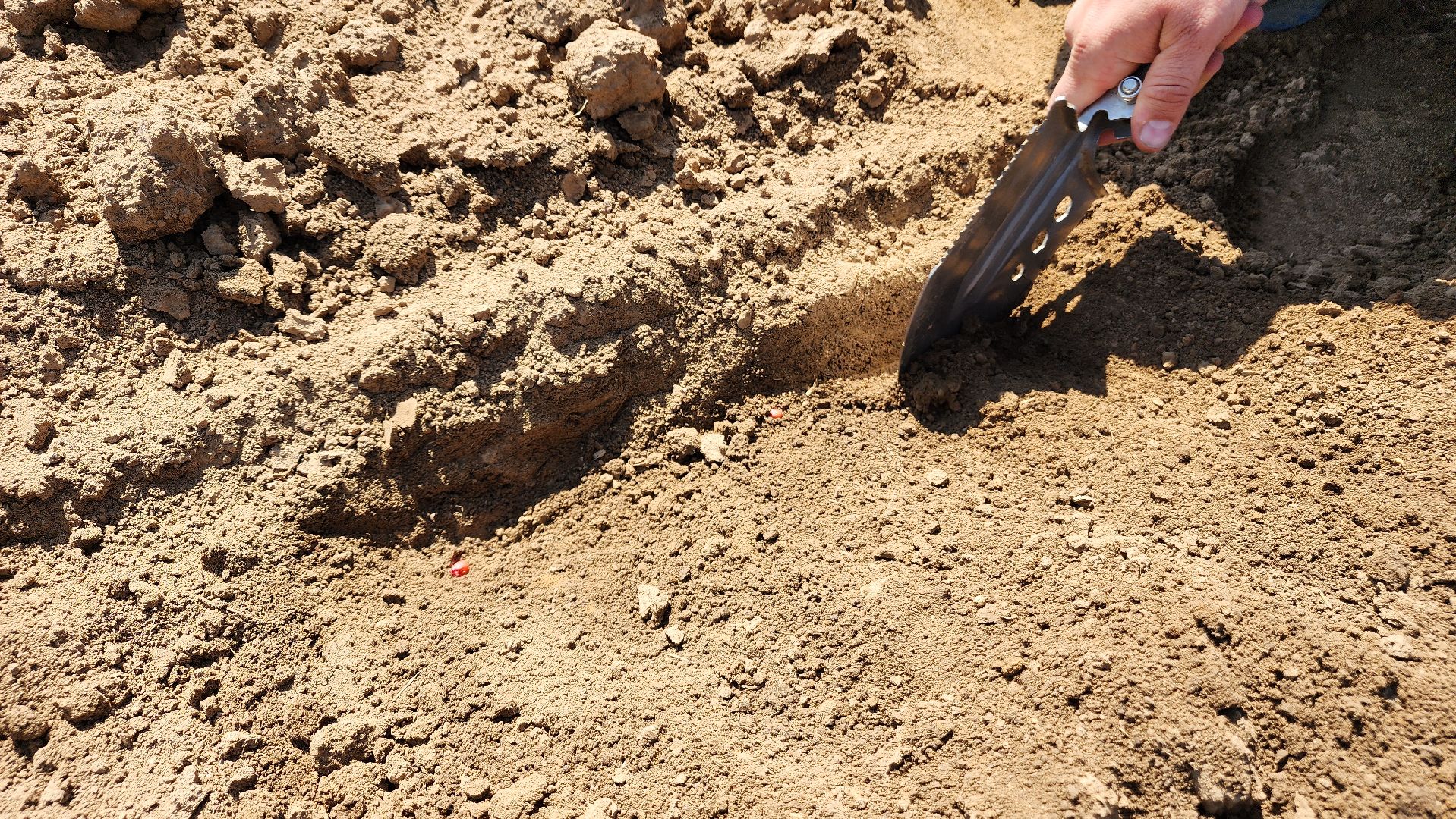 ступино, сельское хозяйство, животноводство,