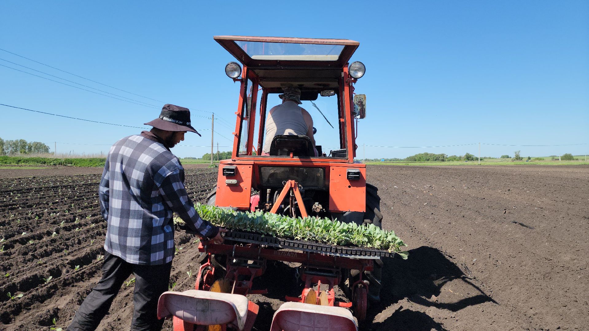 луховицы, сельское хозяйство, фермерское хозяйство,