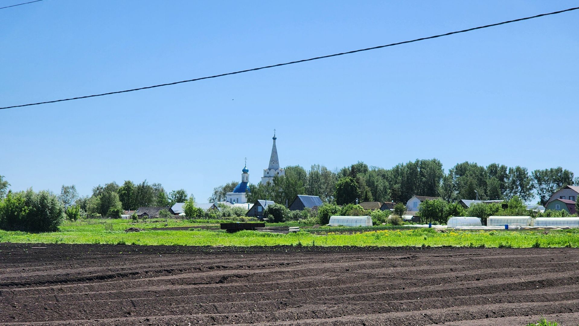 луховицы, сельское хозяйство, фермерское хозяйство,