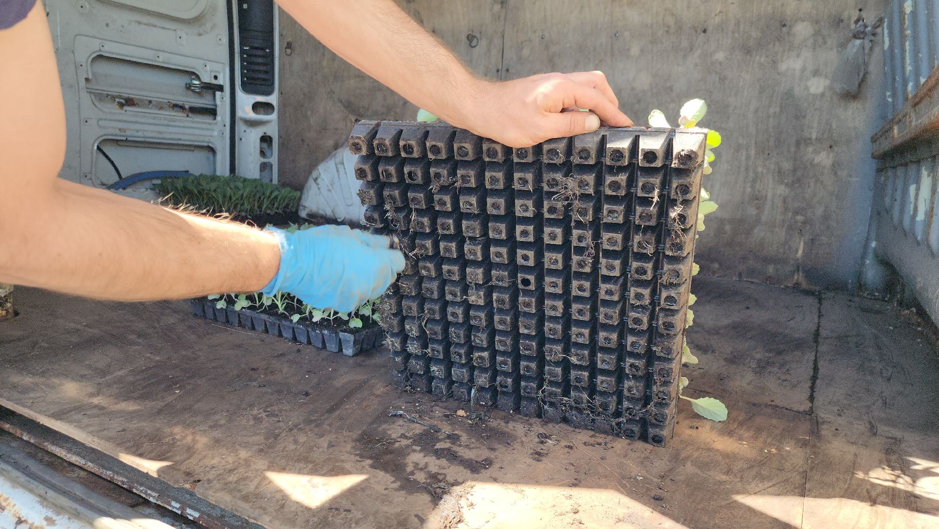 луховицы, сельское хозяйство, фермерское хозяйство,