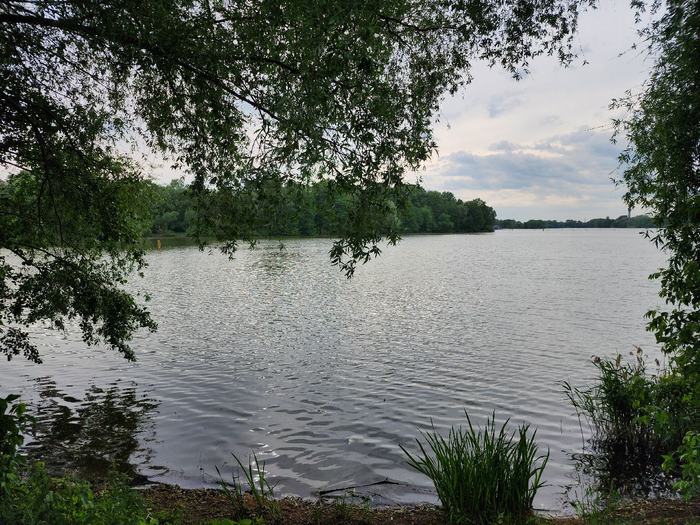 купальный сезон, пляжи, зоны отдыха, старая купавна, богородский городской округ,
