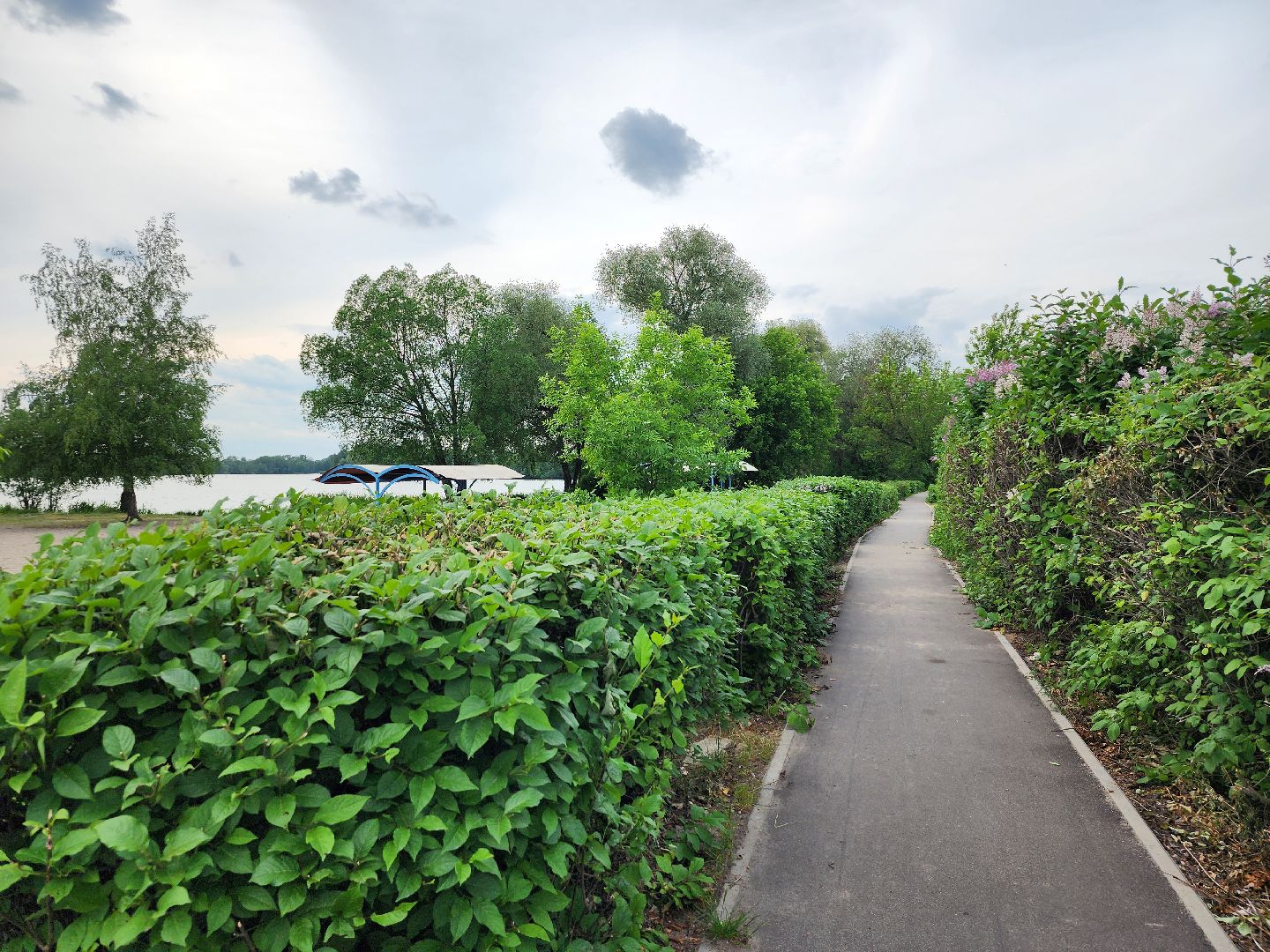купальный сезон, пляжи, зоны отдыха, старая купавна, богородский городской округ,