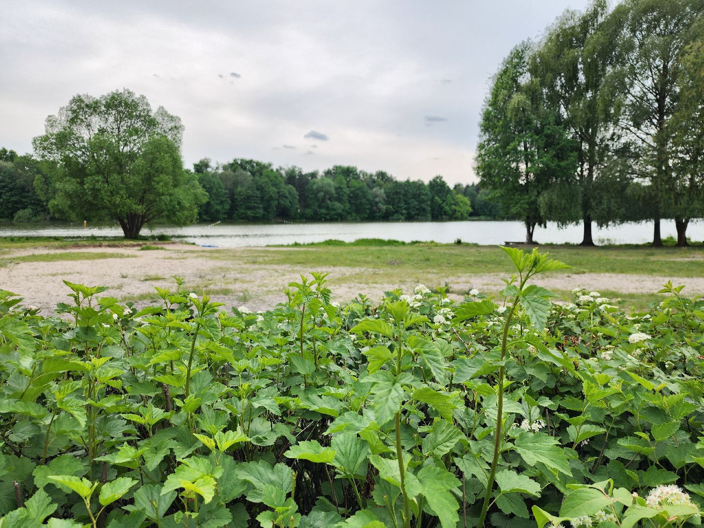 купальный сезон, пляжи, зоны отдыха, старая купавна, богородский городской округ,