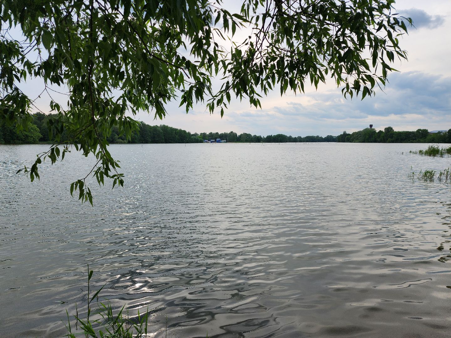 купальный сезон, пляжи, зоны отдыха, старая купавна, богородский городской округ,