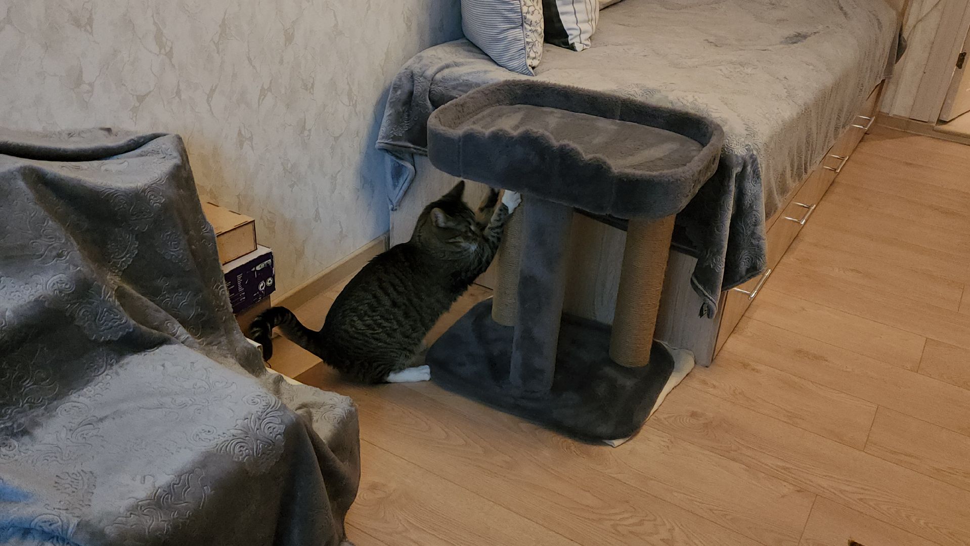 переселенец из аварийного жилья, новая квартира, щёлково, аварийное жилье,