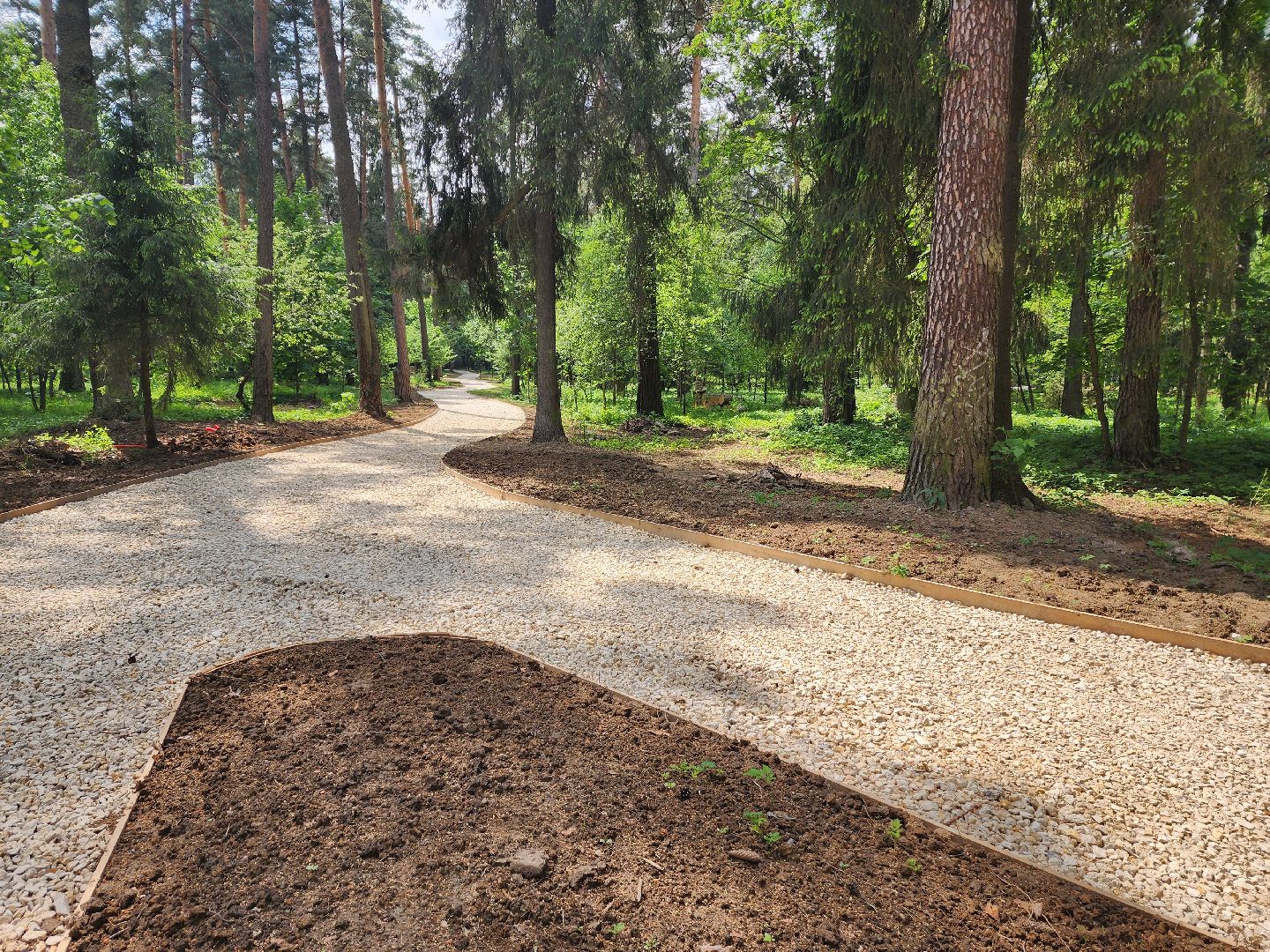 красноармейск, городской округ пушкинский, лесопарк, банный лес, павильон проката,