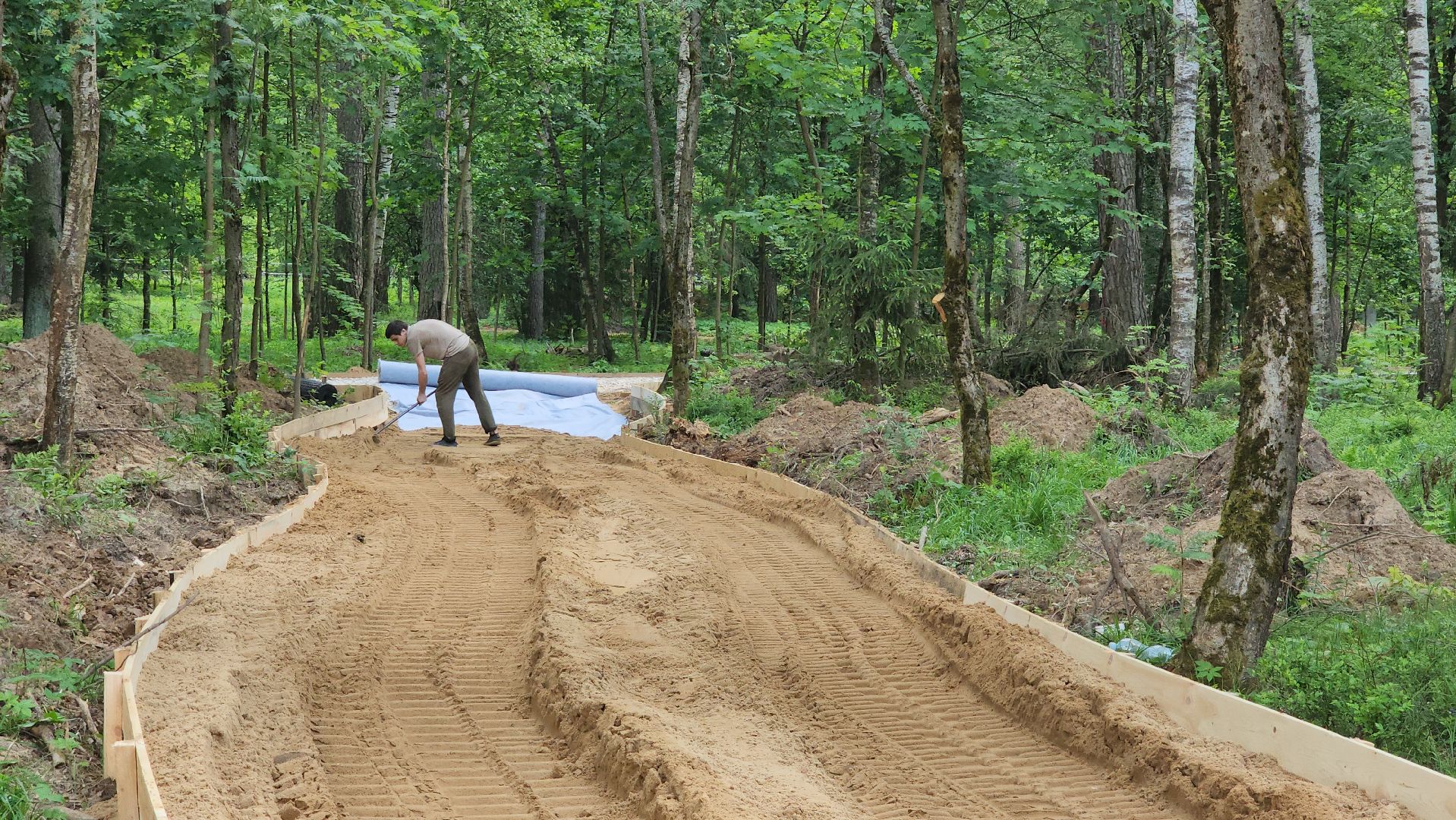 красноармейск, городской округ пушкинский, лесопарк, банный лес, павильон проката,