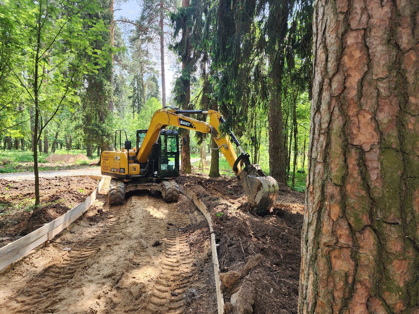 красноармейск, городской округ пушкинский, лесопарк, банный лес, павильон проката,